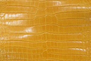 クロコダイル ツヤ 黄色